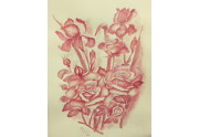 Iris e rose - sanguigna su carta