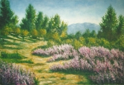 Erica sul Faiello - olio su tela 50 x 35