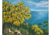 Mimose sul mare - olio su tela 35 x 25